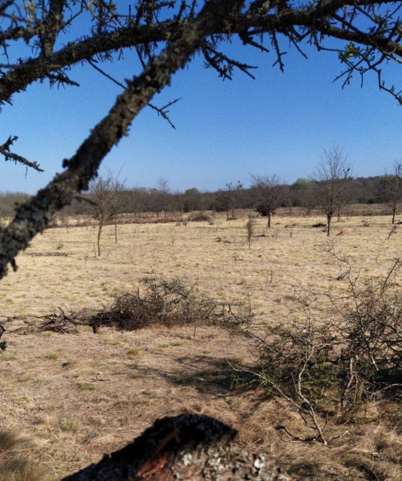 LOTE EN CORDOBA - A 10MIN CALAMUCHITA